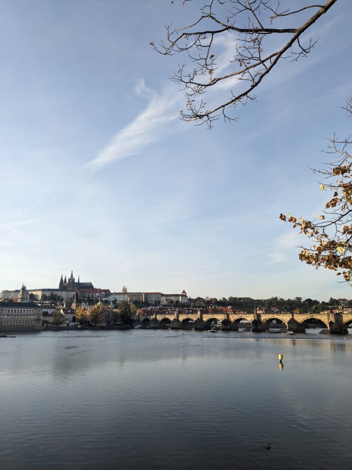 51f8cba8 7422 41db 9e76 e4e2a472349d (1)