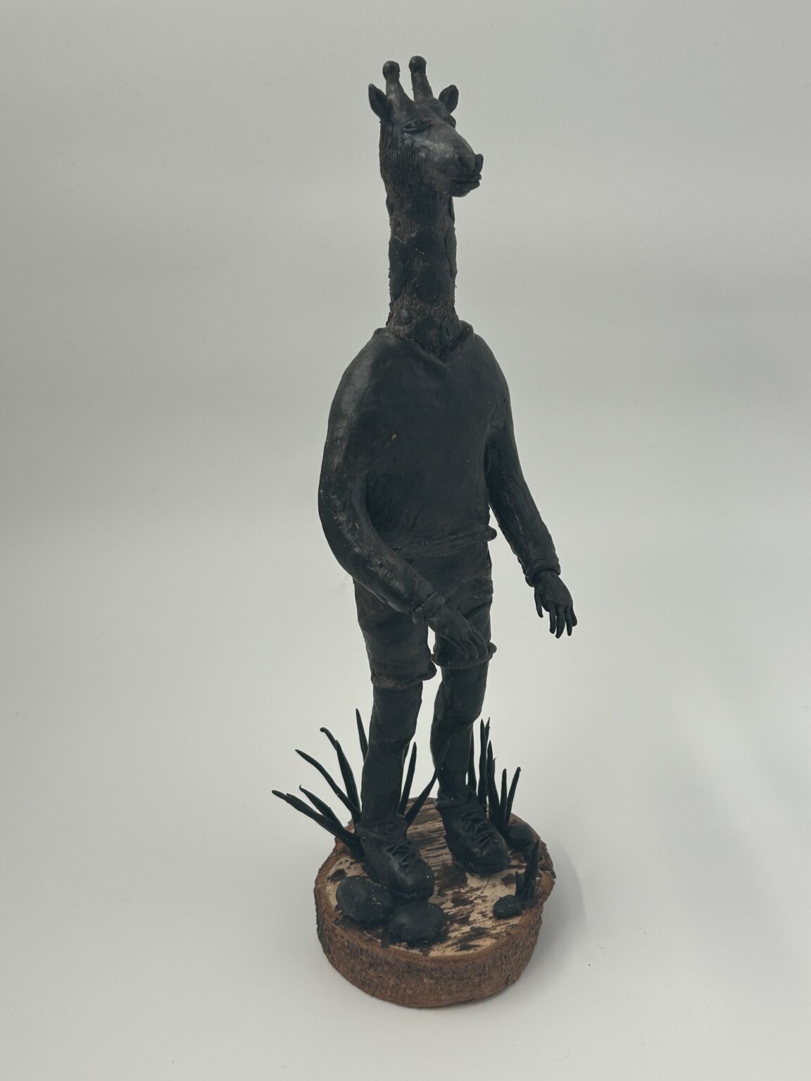 Bild 20260120 100259 0edd8528