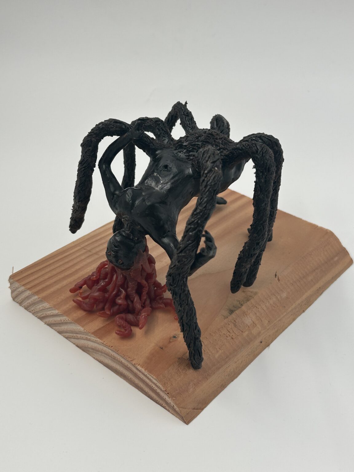 Bild 20260120 100719 a65ad3fa