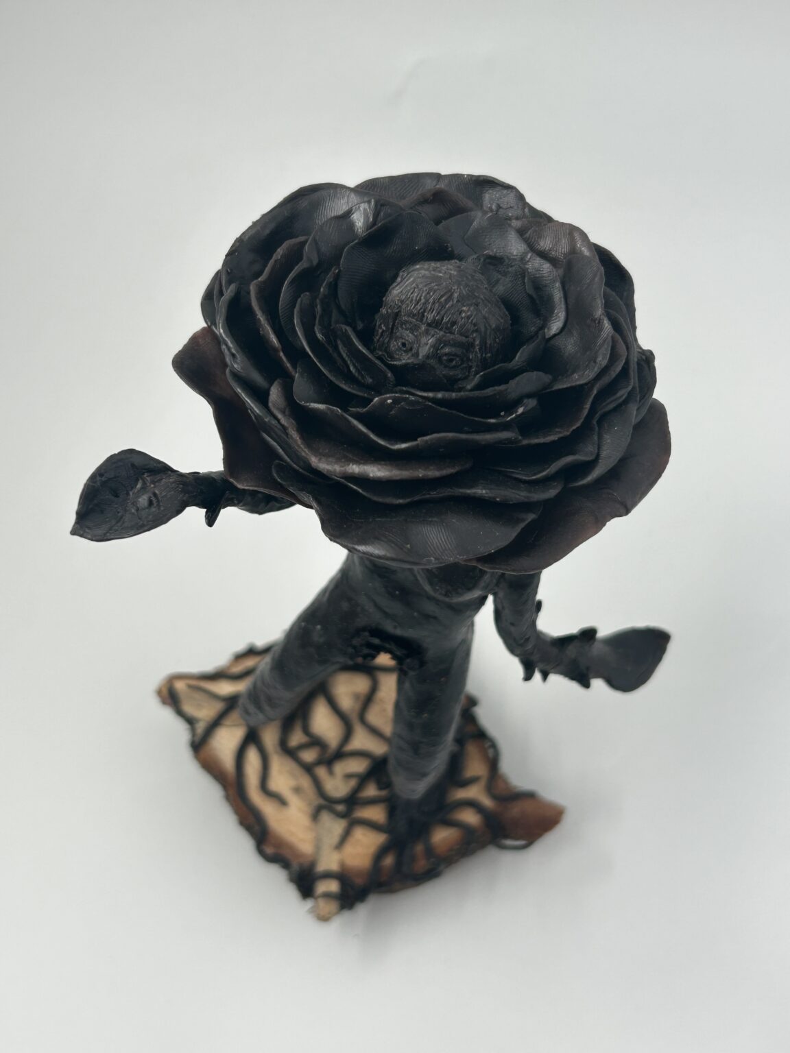 Bild 20260120 100841 afc3f996