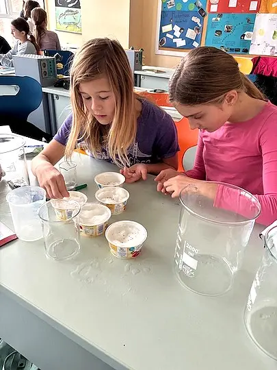 junior science olympiade0008 2fz2s4ddztw0h6r