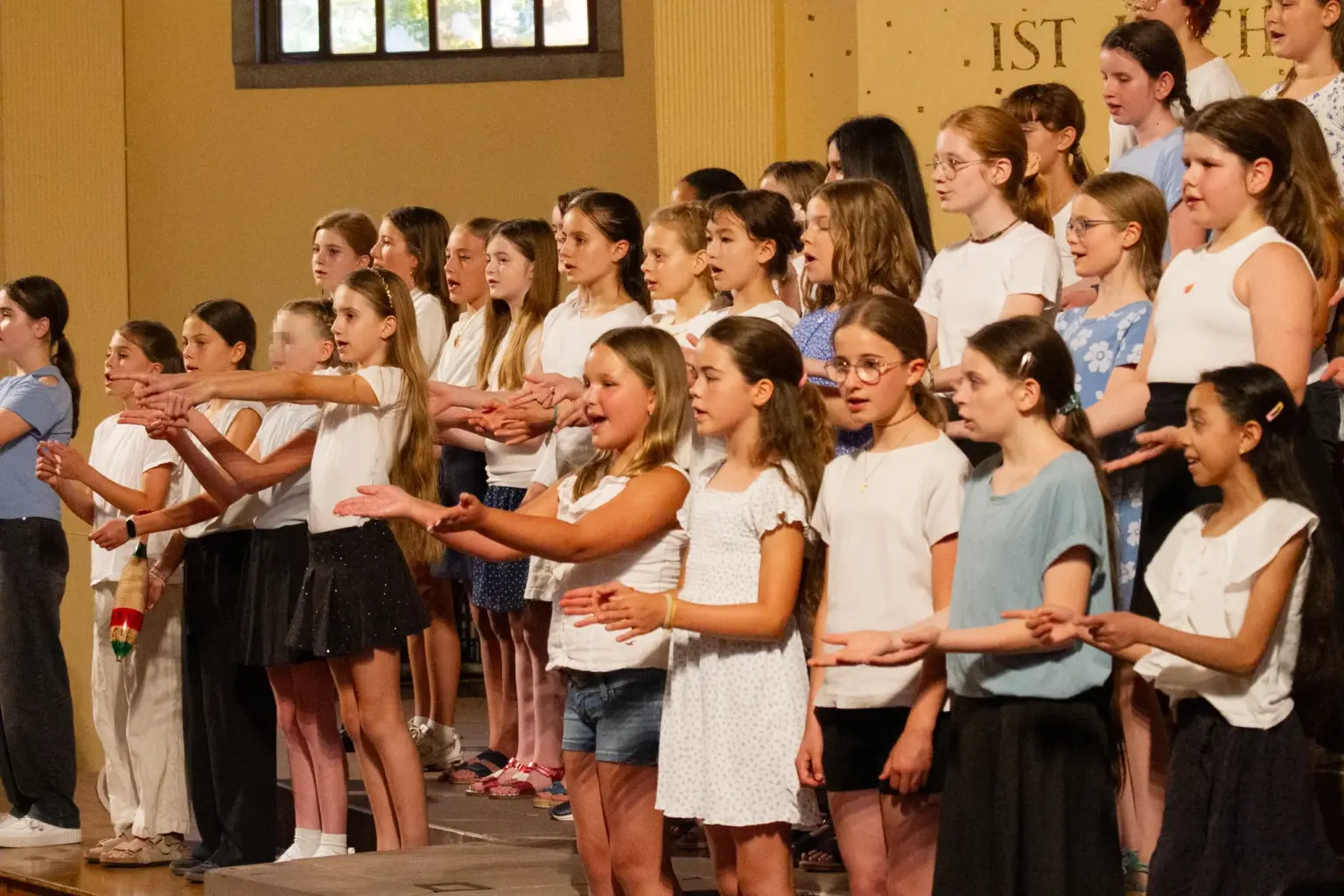 st dominikus gymnasium Karlsruhe Musik Sommerkonzert (2)