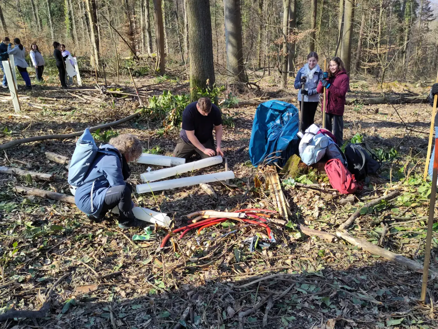 st dominikus gymnasium karlsruhe Baumpflanzen Umwelt01