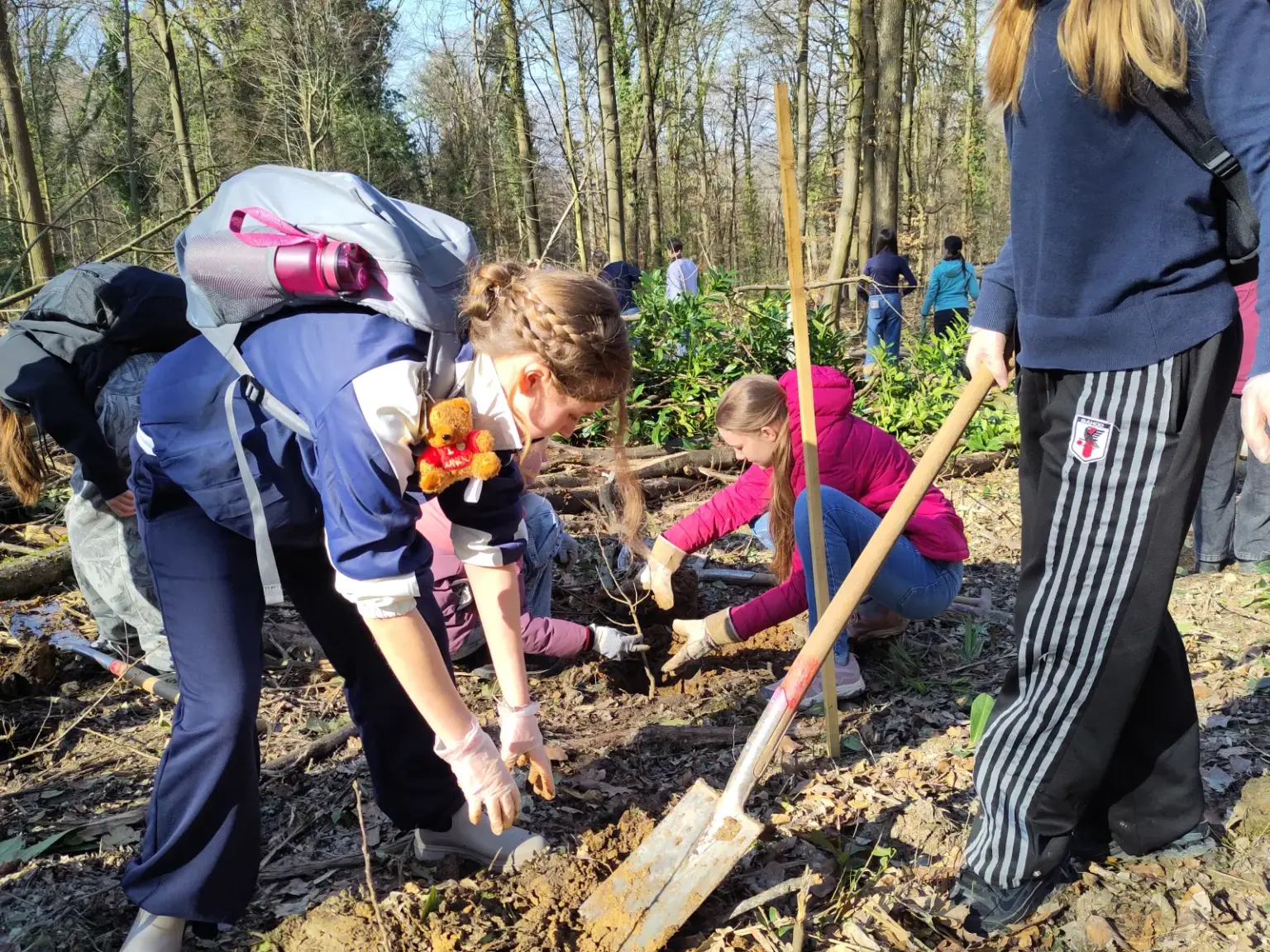 st dominikus gymnasium karlsruhe Baumpflanzen Umwelt02