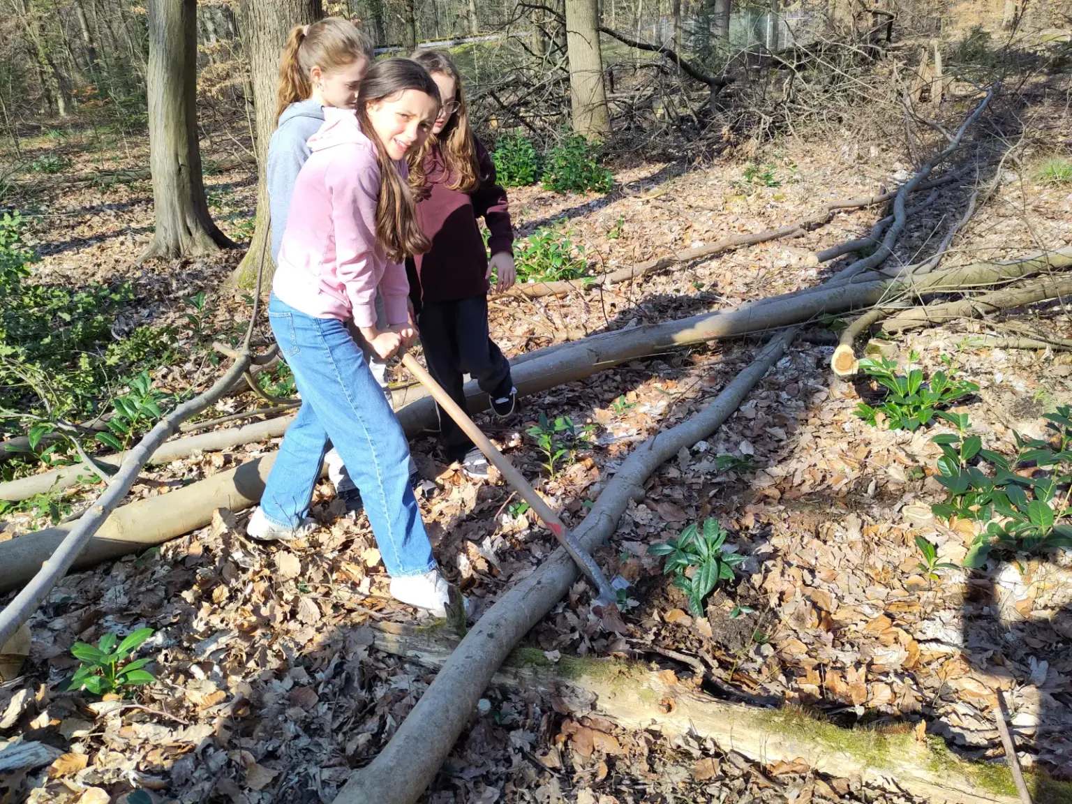 st dominikus gymnasium karlsruhe Baumpflanzen Umwelt07
