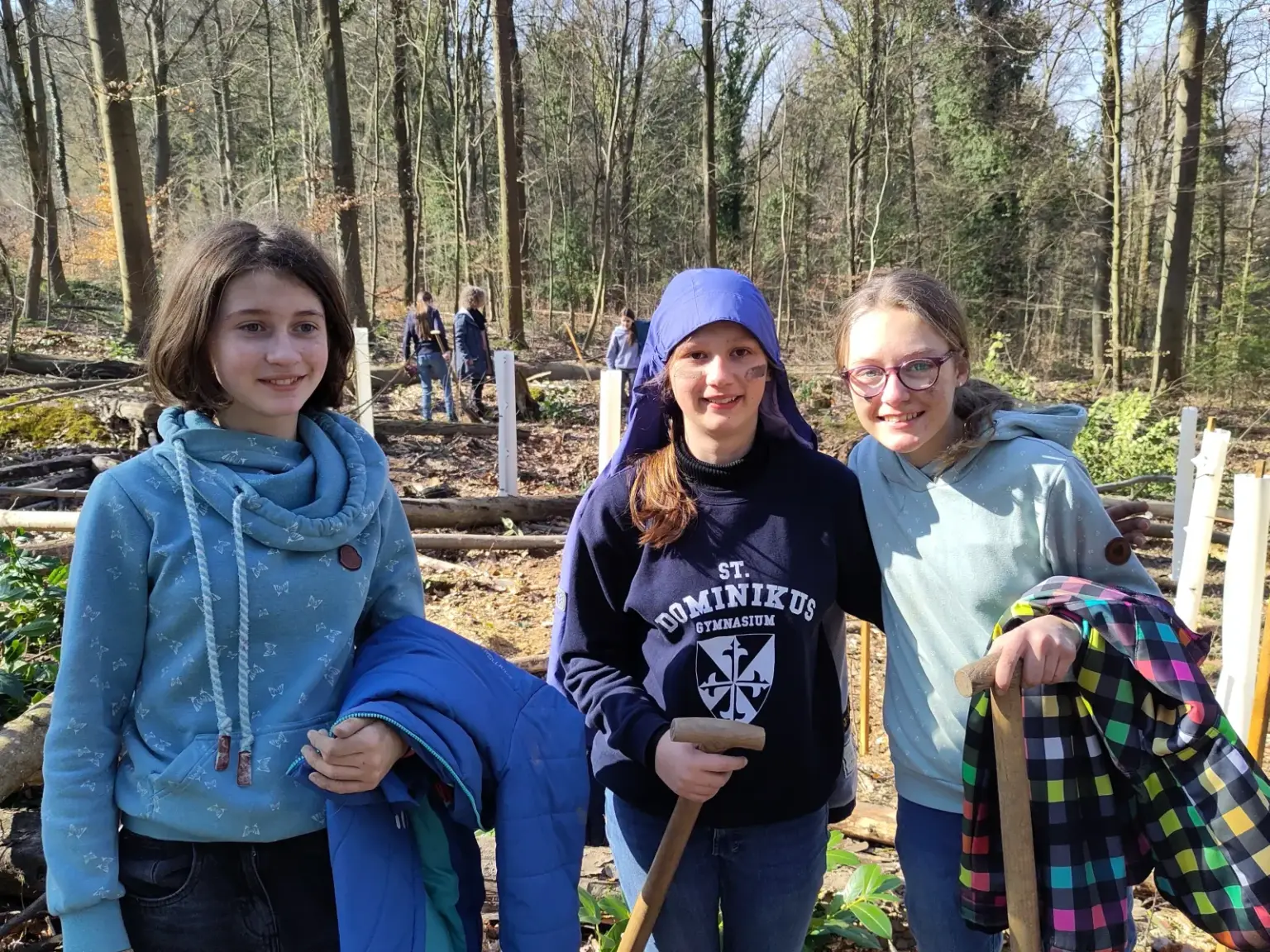 st dominikus gymnasium karlsruhe Baumpflanzen Umwelt09