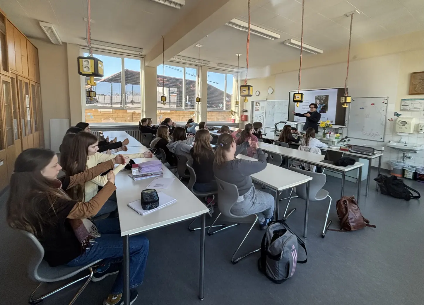 st dominikus gymnasium karlsruhe Biologie Augen02