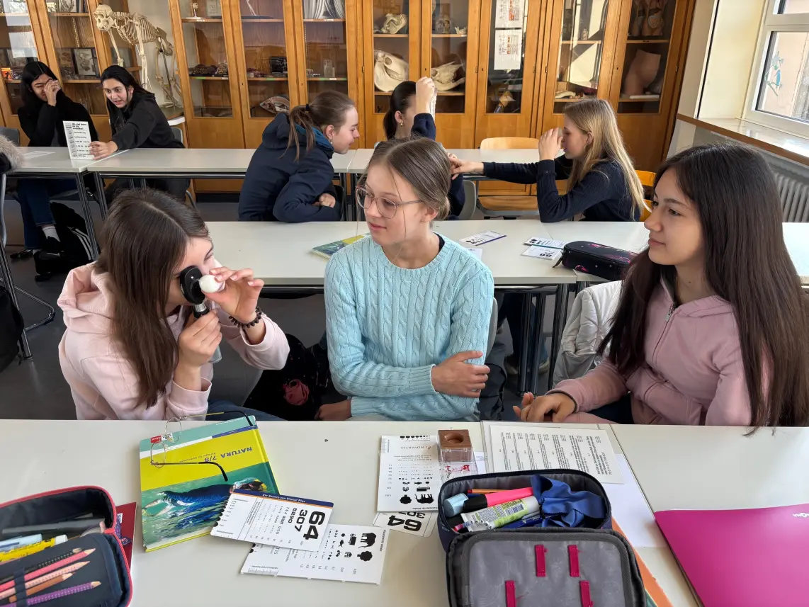 st dominikus gymnasium karlsruhe Biologie Augen05