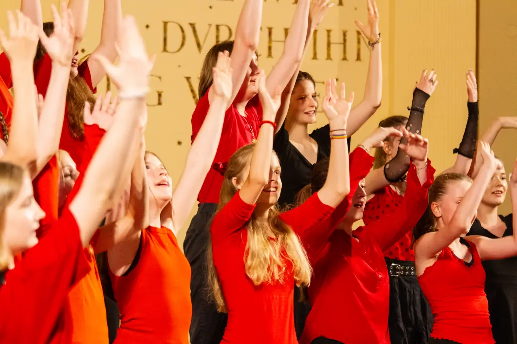 st dominikus gymnasium karlsruhe Musik Sommerkonzert06