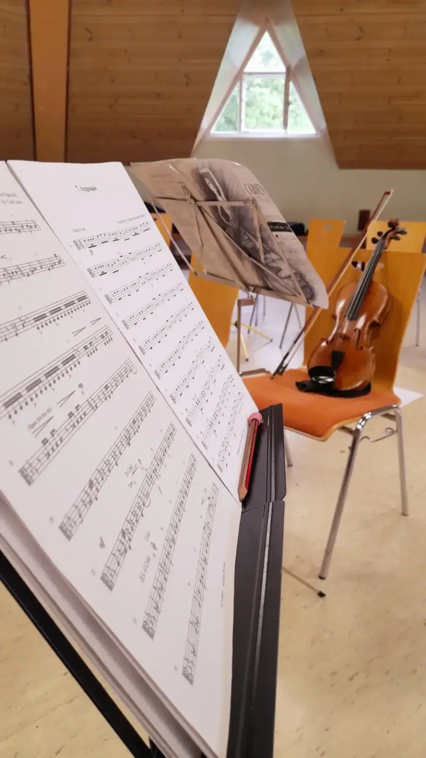 st dominikus gymnasium karlsruhe Probetage Orchester06