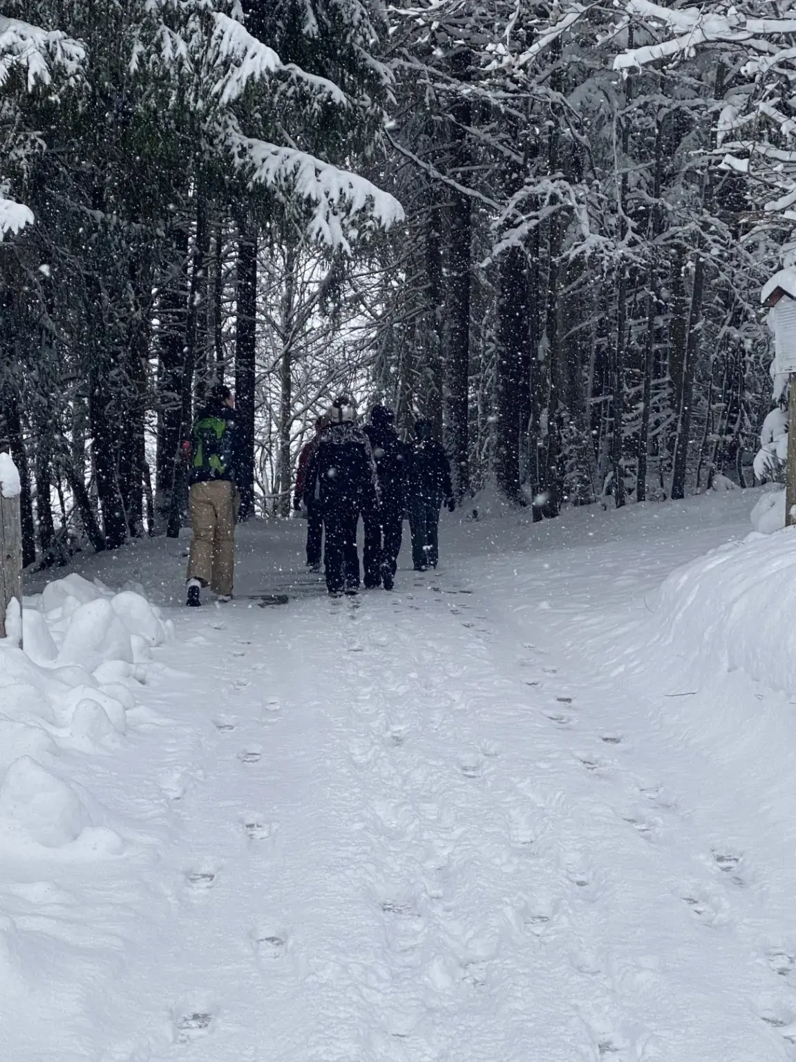 st dominikus gymnasium karlsruhe Sport Exkursion05