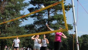 Volleyball-AG